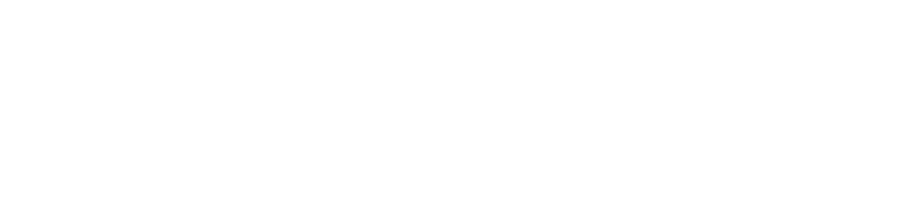 Argenta Logo
